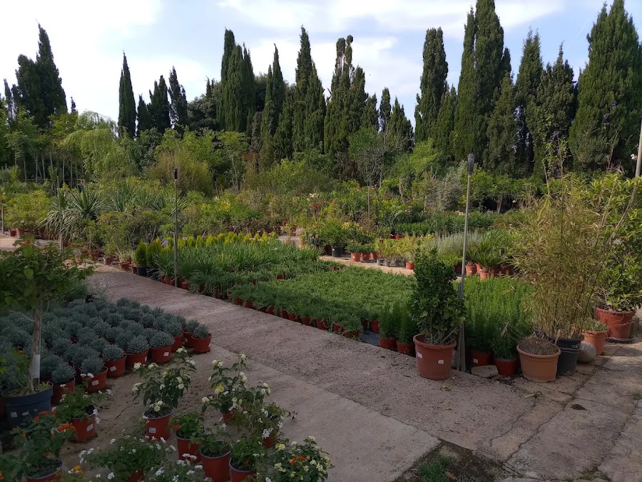 Vivero